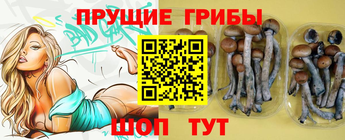 Псилоцибиновые грибы ЛСД Красноперекопск