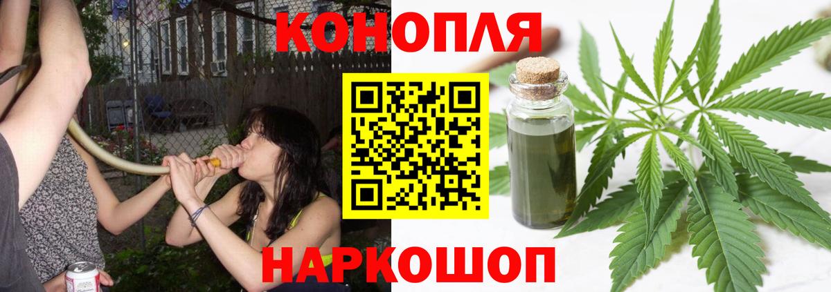 Бошки Шишки гибрид Красноперекопск